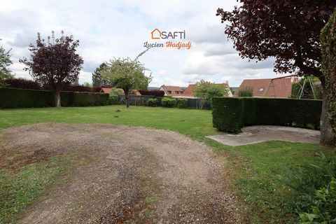 photo no. 12