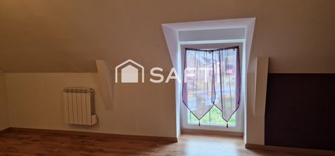 photo no. 11