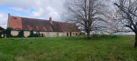 photo no. 1