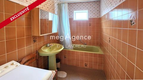 photo no. 6