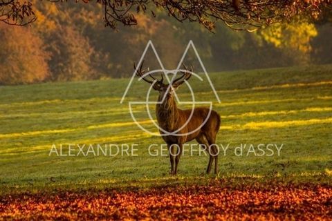 Exceptionnel domaine de chasse de 900 ha situé dans le val de Loire comprenant un château du XVème remanié au XIXème entièrement restauré
