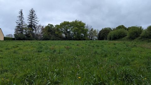 photo no. 2