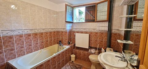 photo no. 9