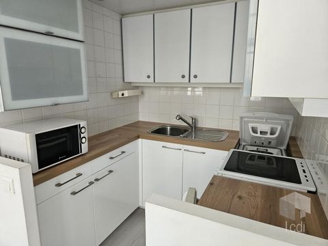 photo no. 6