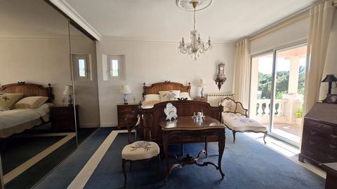 photo no. 19
