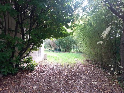 photo no. 19
