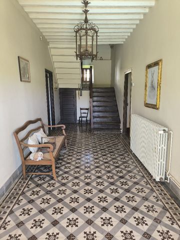 photo no. 6