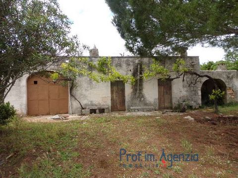 Farmhouse in Ceglie Messapica, composed of 4 rooms with vaults and a wood oven; all the building is in stone. The surround land is cultivated with olive groves and almond trees Location information : 4 km (6 min) from the town of San Michele S., 10 k...