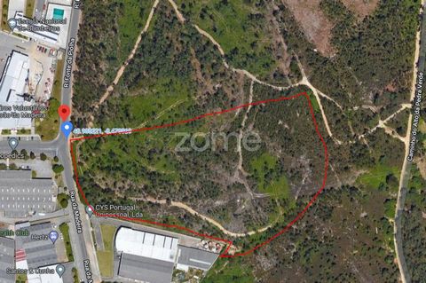 Property ID: ZMPT552343 Industrial land of 24,746 m2 in Milheirós de Poiares, in Fonte da Piolha Street. For more information, call me now. 3 reasons to buy with Zome + follow-up With a unique preparation and experience in the real estate market, Zom...