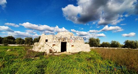 Saracen trullo for sale to be renovated in the countryside of Ostuni, located on a beautiful flat plot of land cultivated with arable crops. The structure consists of two rooms, is in good static condition and it is possible to make an extension of a...