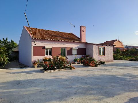 Excellent 4 Bed Property With Land For Sale in Setubal Portugal Esales Property ID: es5553794 Property Location Rua Montinho da cotovia n° 30 Pontes Setubal Pontes 2910-137 Portugal Property Details With its glorious natural scenery, excellent climat...