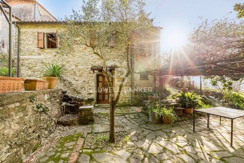 FIVIZZANO: Località Mozzano, i en liten by nedsänkt i gröna kullar, erbjuder vi ett rustikt stenhus i utkanten av byn. Huset som utvecklas i två plan utöver källaren. Byggnaden renoverades på 90-talet och har två stora sovrum, ett stort vardagsrum på...
