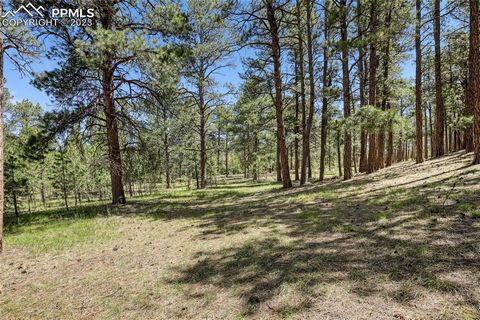 Here is the land you have been dreaming of for your new home. Nestled in the beautiful Ponderosa pines of Black Forest, this lot is a short drive to Colorado Springs and Monument. It has 5 beautiful acres with an already drilled domestic well that pr...