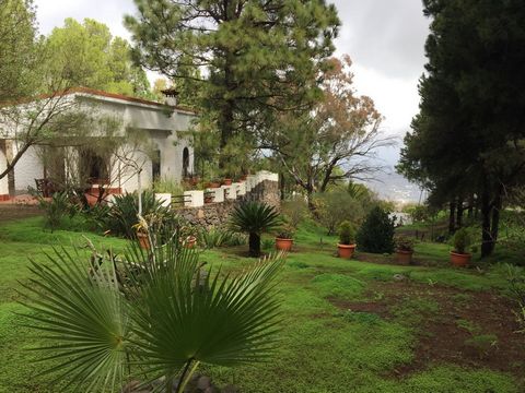 In the midst of nature, in an unparalleled setting, surrounded by a forest of pine trees and various fruit trees (apple trees, walnut trees, quince trees, fig trees, cherry trees...), we find this magnificent property - a cozy house nestled in the mi...