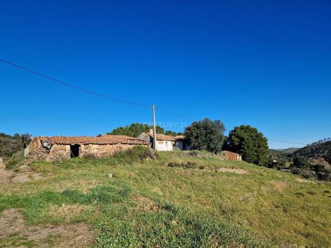 House to recover on a plot of 39452m2 and located in Ribeira do Ruívo, at a distance of 14kms from S.Teotónio and 27kms from Zambujeira do Mar's beach. The property has electricity, a dam and 2 wells. The land has little inclination and good sun expo...
