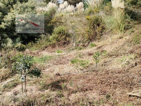 DEVELOPABLE LAND LOCATED IN A GOOD AREA OF LLORET RESIDENTIAL... IT IS DIVIDED INTO 2 TERRACES, SEMI-FLAT DESCENDANTS. .. WITH SUN ALL DAY AND YOU CAN EVEN SEE THE SEA!.. 920 M2 TO BE ABLE TO MAKE THE HOUSE OF YOUR DREAMS.. PERFECT PLACE TO BUILD A B...