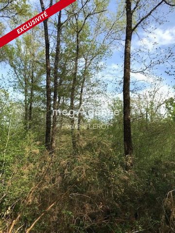 Rare ! Beautiful wooded plot of 3.45 hectares in Aillas, Lisos valley. Ideal land for the creation of a pigeon grove where you will mainly find oaks and other species of wood including chestnut trees and acacias. Without forgetting the picking of num...