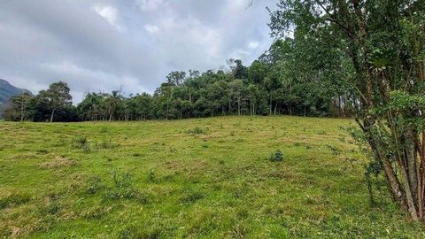 Great farm land for sale in Agrolândia, Santa Catarina, located in Serra dos Alves, this rural property offers a total area of 49,000.00 m², ideal for those looking for rural land or farm for sale in sc. With approximately 22,000.00 m² of open area, ...