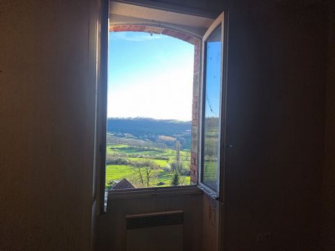 photo no. 12