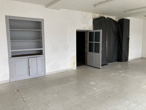photo no. 13