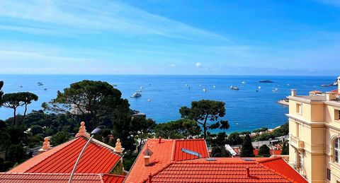 Nebenan Monaco. Monaco Country Club vor Ihren Fenstern. Feuerwerk in Monaco von Ihrer Terrasse aus gesehen. Die Yachtshow können Sie von Ihrer Terrasse aus sehen. Du bist im Paradies. Apartment mit Blick auf das Meer und Blick auf Monaco. 5 Minuten z...