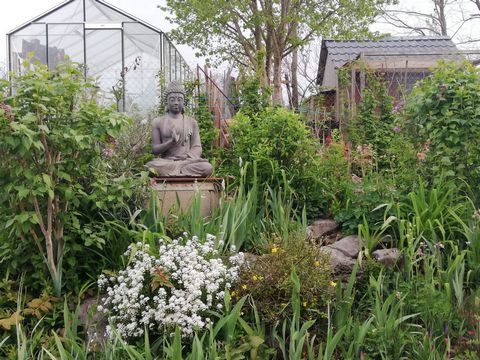 photo no. 15