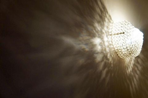 photo no. 11