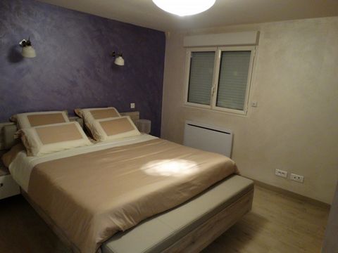 photo no. 7
