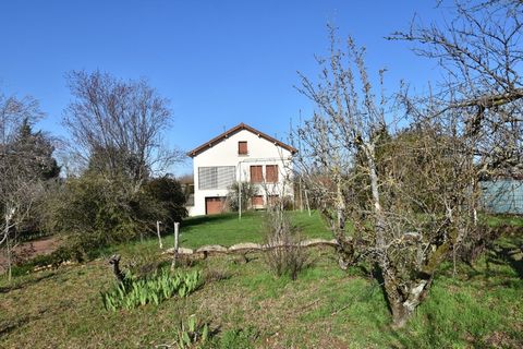 photo no. 2