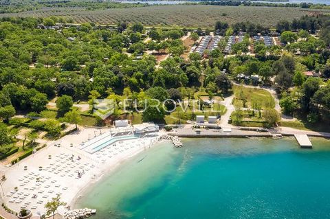 Istria, Vabriga - construction land for catering and tourist purposes located near the sea and famous Croatian campsites. With a total area of 3,554 m2, it offers many opportunities for investing in tourism. Given that it is located in the T1 and T2 ...