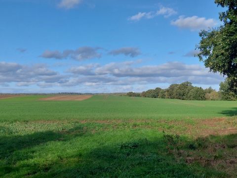 Agricultural plot about 1 km from Lake Glinna. Beautiful natural areas. The plot is located off the beaten track, access by a dirt road. Land class from III b to V. The plot is a strip of agricultural land 28 m wide and 387 m long. Although the prope...