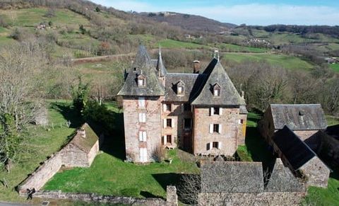 Slottet från 1700-talet ligger i ett lugnt läge med fantastisk utsikt, 10 minuter från den turistiska byn Collonges-la-Rouge, i hjärtat av Corrèze. Denna imponerande bostad på 300 m2, som består av 10 rum, kommer att charma dig med sina fyrkantiga pa...