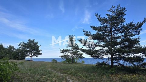 Schönes Grundstück auf der Meerseite mit Meerblick, direkter Zugang zum Strand. Fläche 0.1322 ha Engure ist ein beliebter historischer und beliebter Ort von Einheimischen und Touristen, nur 1 Autostunde von Riga entfernt. In Engure gibt es einen Hafe...