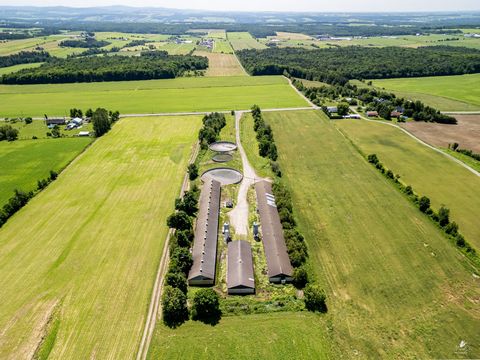 Fermette de 5 acres comprenant 3 bâtiments porcins d'environ 28 000 pieds carrés et une génératrice stationnaire. La production porcine sur ce site prendra fin en octobre 2024 et ne sera pas transférable. Cependant, ce site offre un immense potentiel...