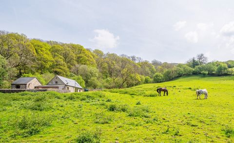 Położony na końcu wiejskiej drogi w malowniczej okolicy w Parku Narodowym Brecon Beacons/Bannau Brycheiniog. Ta malownicza wiejska okolica oferuje doskonałą okazję, aby cieszyć się ciszą, spokojem i otwartą przyrodą z zabytkowym miastem Abergavenny i...