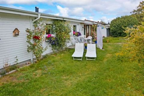 Fantastic sea views and wonderful sunsets. Welcome to a perfect location with only 200 m to the mile-long beach and cooling sea. The house is white with a garden and a sea view. Here you can enjoy and have a nice holiday. This cottage is located in t...