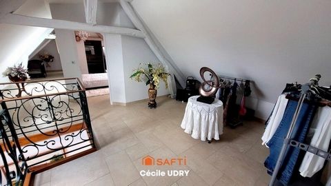 photo no. 11