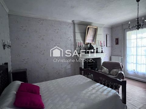 photo no. 12