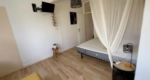 photo no. 13