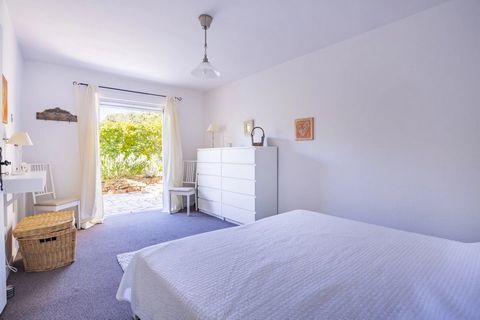 photo no. 11