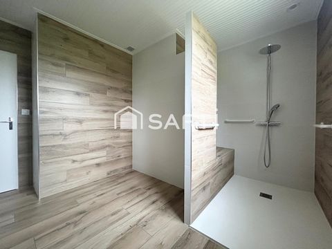 photo no. 8