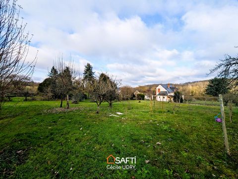 photo no. 9