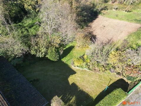 photo no. 15