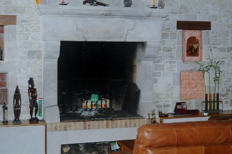 photo no. 6