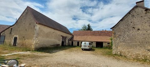 photo no. 11