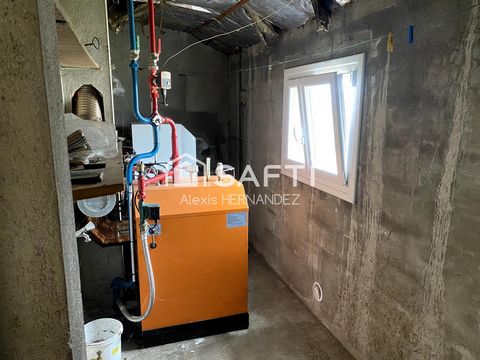 photo no. 10