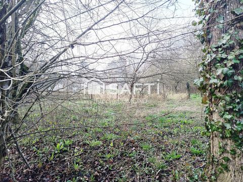 photo no. 14