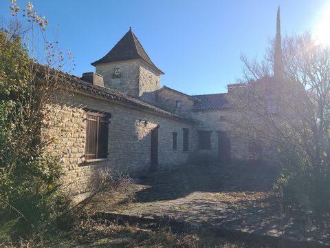 photo no. 3
