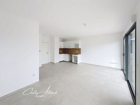 photo no. 2