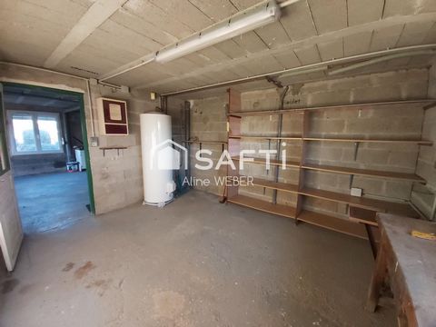 photo no. 13